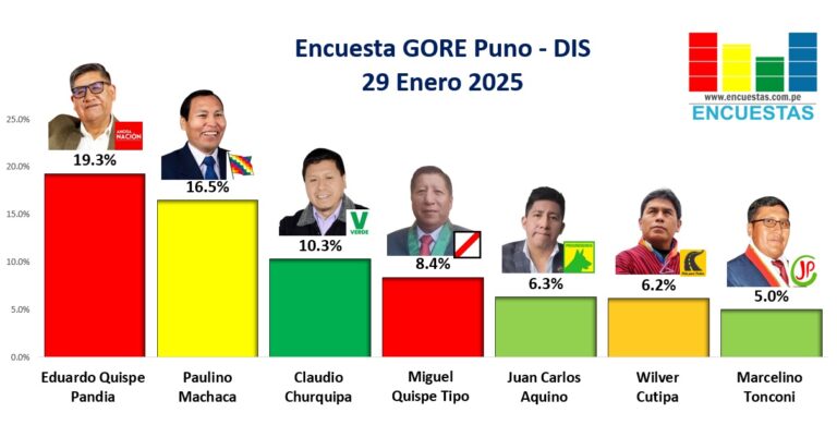 Encuesta GORE Puno, DIS – 29 Enero 2025